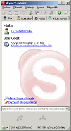 Skype - větší obrázek z programu