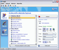 SnagIt - větší obrázek z programu