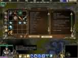 Spellforce: Platinum Edition - větší obrázek ze hry