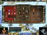 Spellforce: The Breath of Winter - větší obrázek ze hry