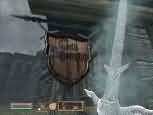 The Elder Scrolls IV: Oblivion - větší obrázek ze hry
