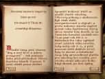 The Elder Scrolls IV: Oblivion - větší obrázek ze hry