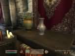The Elder Scrolls IV: Oblivion - větší obrázek ze hry