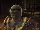 The Elder Scrolls IV: Oblivion - větší obrázek ze hry
