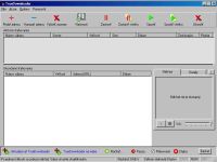 TrueDownloader - větší obrázek z programu