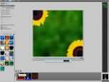 Ulead DVD Workshop - větší obrázek z programu