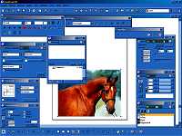 Macromedia FreeHand - větší obrázek z programu