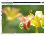 ACDSee Photo Manager 2009 - větší obrázek z programu