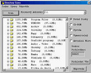 Directory Sizes - větší obrázek z programu