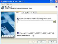 DocRepair - větší obrázek z programu