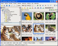 FastStone Image Viewer - větší obrázek z programu