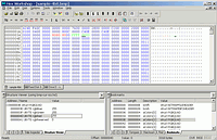 Hex Workshop - větší obrázek z programu