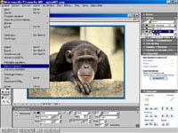 Macromedia Fireworks MX - větší obrázek z programu