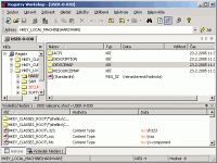 Registry Workshop - větší obrázek z programu