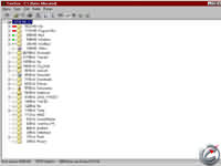 TreeSize - větší obrázek z programu