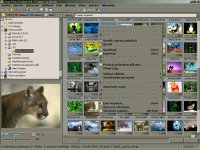 Ulead Photo Explorer 8.0 - větší obrázek z programu