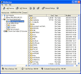 WinBackup - větší obrázek z programu