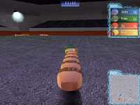 Worms Arena