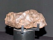 Hned u vstupu do expozice astronomie si můžete sáhnout na kus meteoritu.