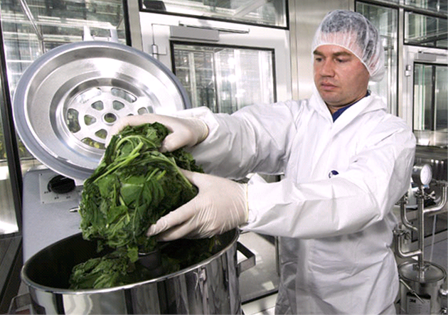 O technologii výroby léků v rostlinách se zajímají i velké společnosti z oboru.