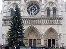 Ruský stromek před pařížskou katedrálou Notre Dame. (27. listopadu 2014)